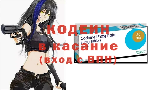 индика Инта