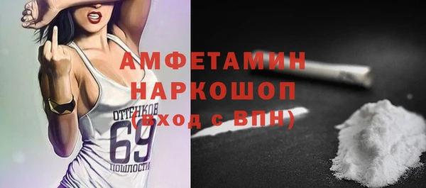индика Инта