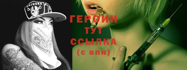 индика Инта