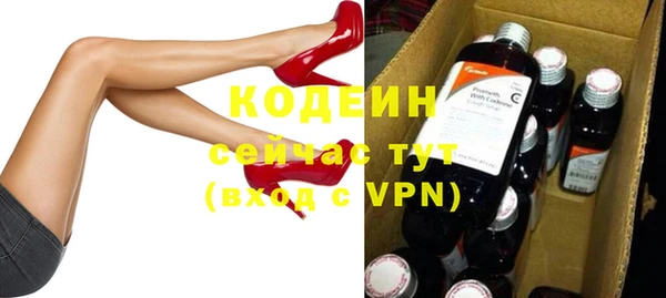 индика Инта