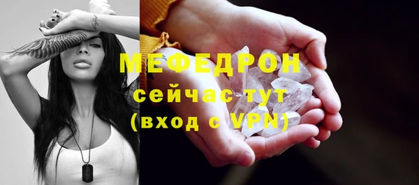 индика Инта