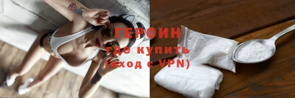 индика Инта