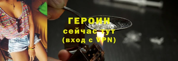 индика Инта