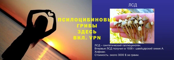 прущий лед Инсар
