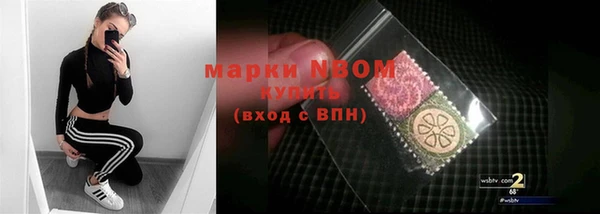 прущий лед Инсар