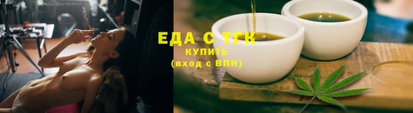 индика Инта