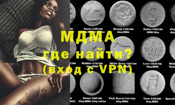 индика Инта