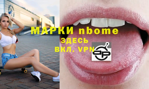 прущий лед Инсар