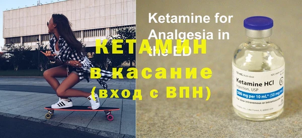индика Инта