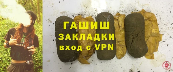 индика Инта