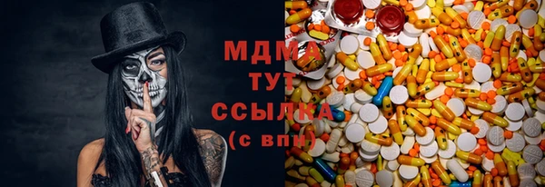 индика Инта