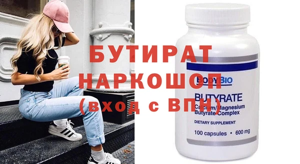 индика Инта