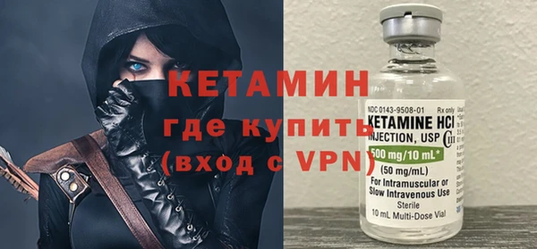 индика Инта