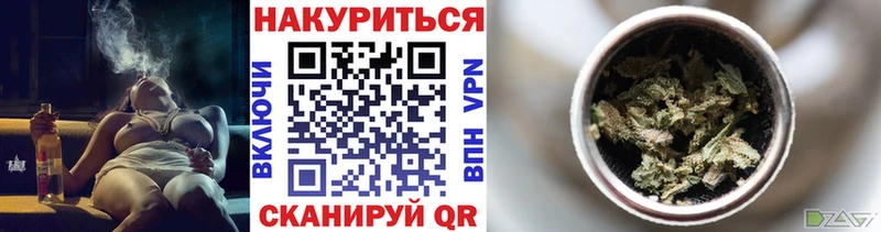 Купить закладки  Будённовск  Бошки Шишки SATIVA & INDICA 